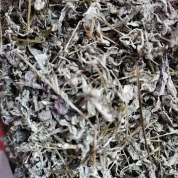 莓茶！藤婆茶！广西野生花草茶
