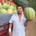 豫艺冰糖无籽西瓜种大果抗病抗裂含糖量高经济效益高9000