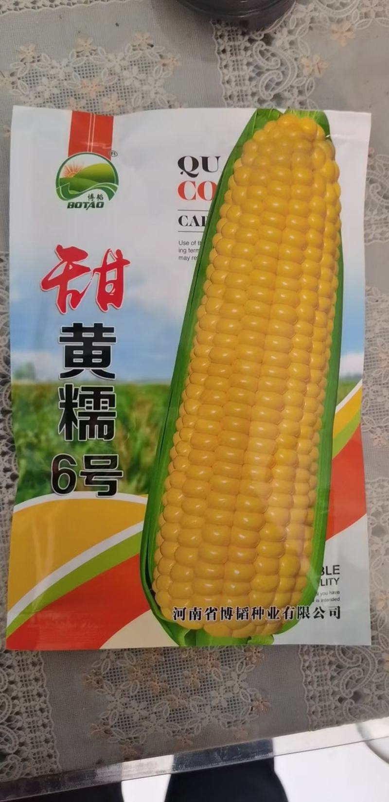 豫艺冰糖无籽西瓜种大果抗病抗裂含糖量高经济效益高9000