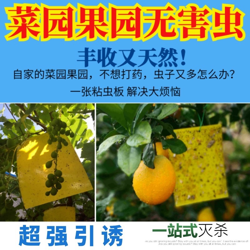 双面防水粘虫板诱虫板黄板蓝板粘蓟马果园大棚花卉专用