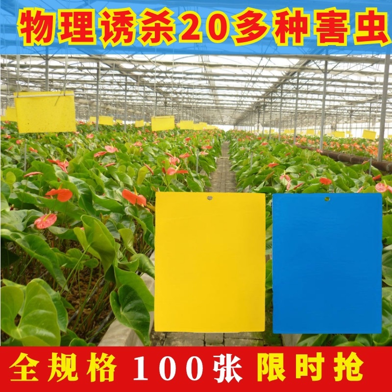 双面防水粘虫板诱虫板黄板蓝板粘蓟马果园大棚花卉专用