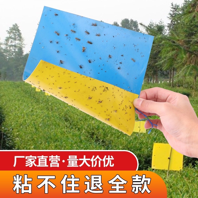 双面防水粘虫板诱虫板黄板蓝板粘蓟马果园大棚花卉专用