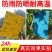 双面防水粘虫板诱虫板黄板蓝板粘蓟马果园大棚花卉专用