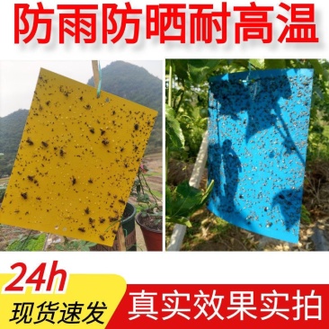 双面防水粘虫板诱虫板黄板蓝板粘蓟马果园大棚花卉专用