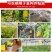 双面防水粘虫板诱虫板黄板蓝板粘蓟马果园大棚花卉专用