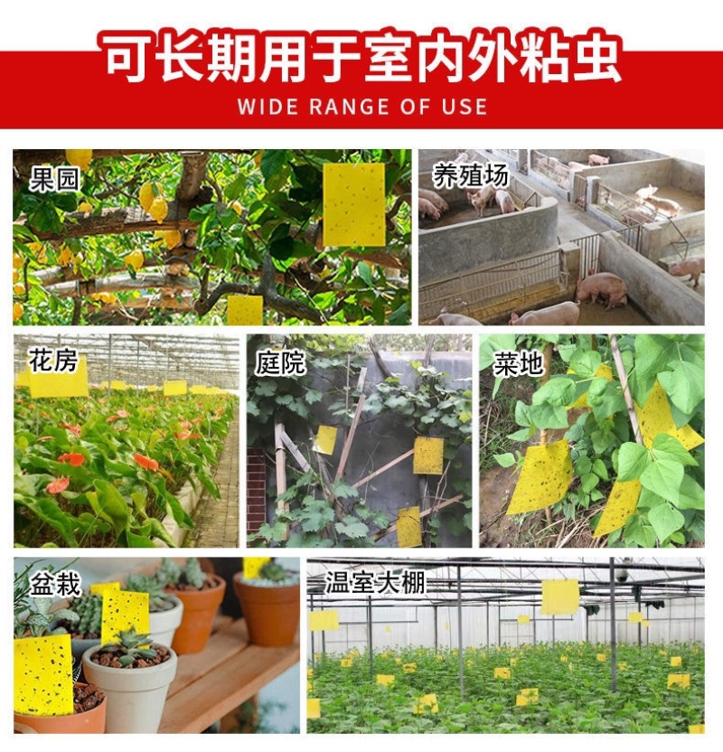 双面防水粘虫板诱虫板黄板蓝板粘蓟马果园大棚花卉专用