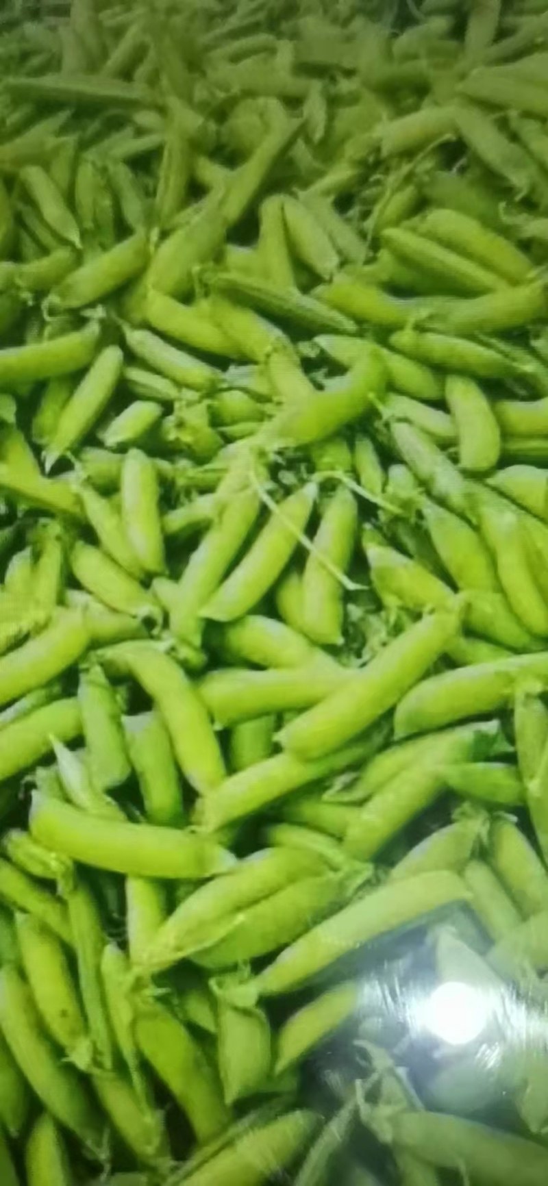 豌豆角