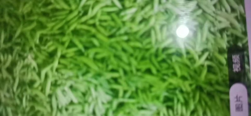 豌豆角