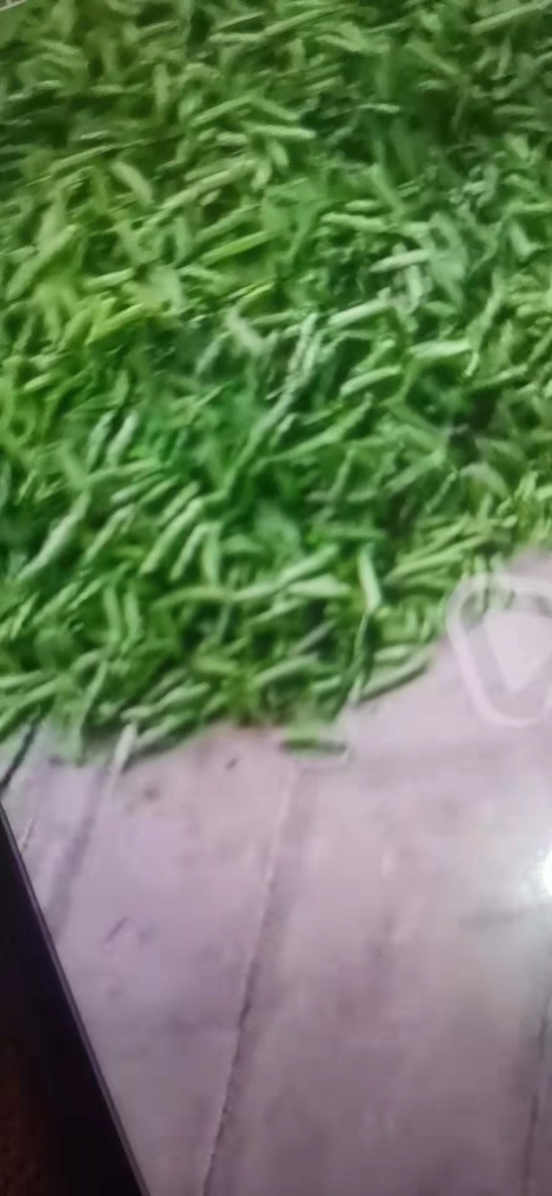 豌豆角