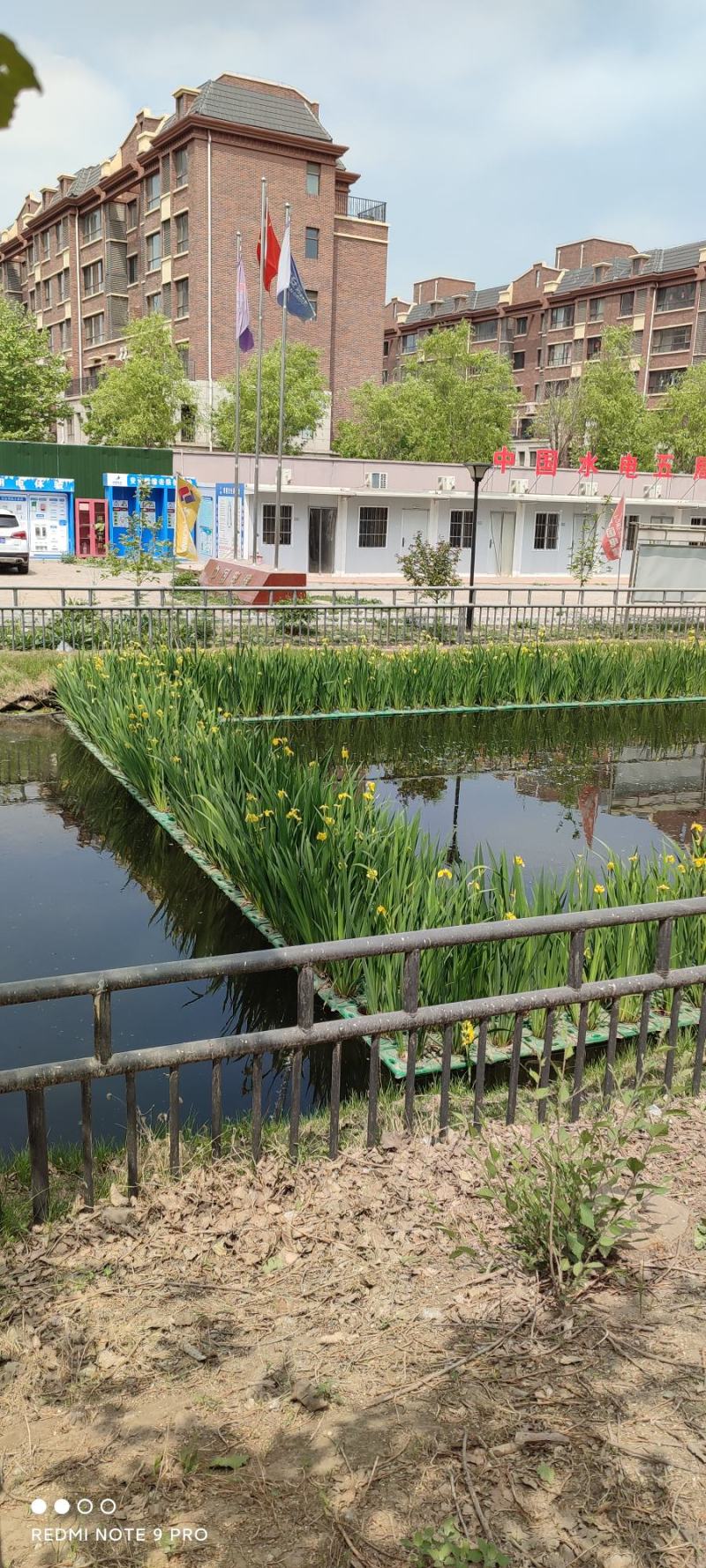 生态浮岛，净化水质美化环境，净化污水，臭水沟子河道