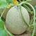 哈蜜瓜种子四季高产水果种籽甜如蜜哈密瓜新疆哈密瓜种子春夏