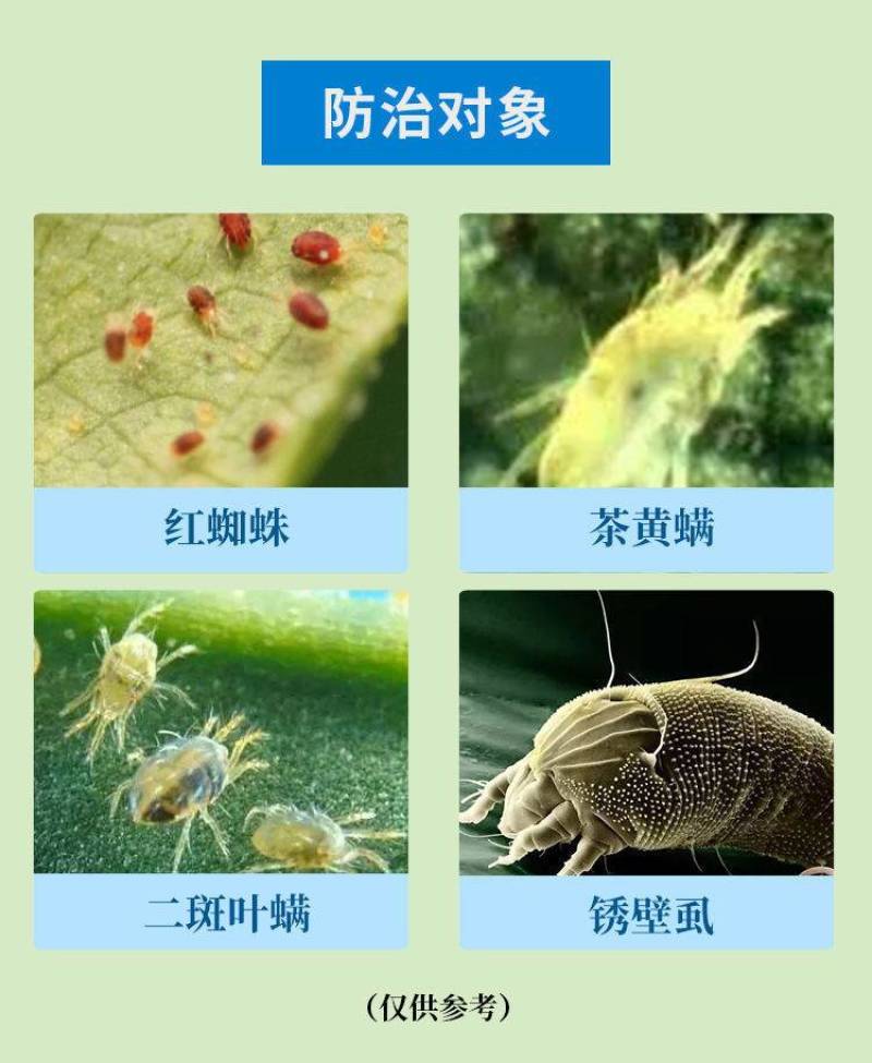 20%乙螨唑红蜘蛛锈壁虱柑橘螨虫杀螨剂蔬菜红蜘蛛杀虫剂