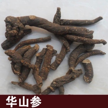华山参，热参，长年供应大货，有需要的电话沟通