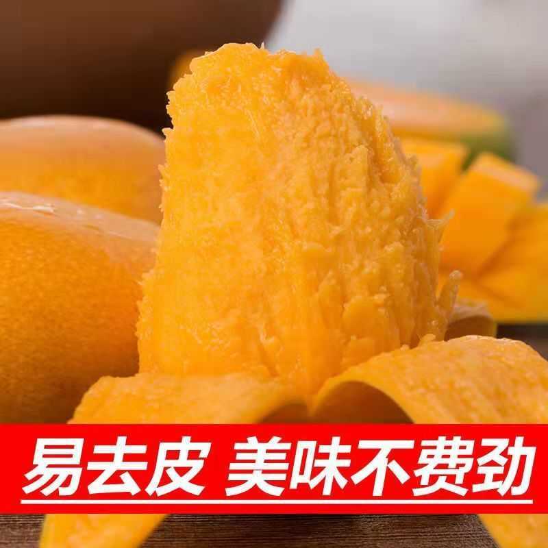 海南小台芒新鲜当季水果5/10斤非贵妃直发社区团购对接