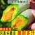 羊角蜜甜瓜大量现货社区团购电商平台对接一件代发市场