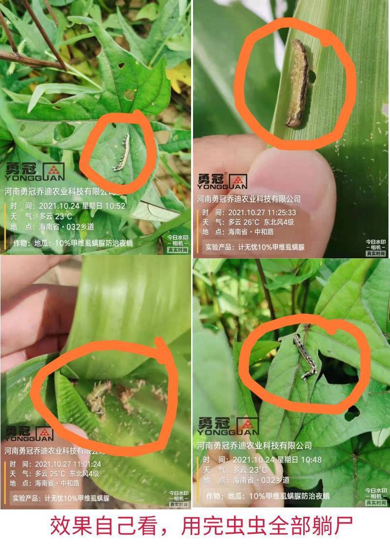 10%甲维盐虱螨脲甜菜夜蛾杀虫剂蔬菜果树烟青虫卷叶螟棉铃
