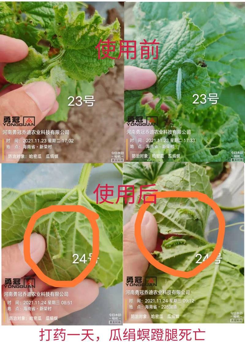 10%甲维盐虱螨脲甜菜夜蛾杀虫剂蔬菜果树烟青虫卷叶螟棉铃
