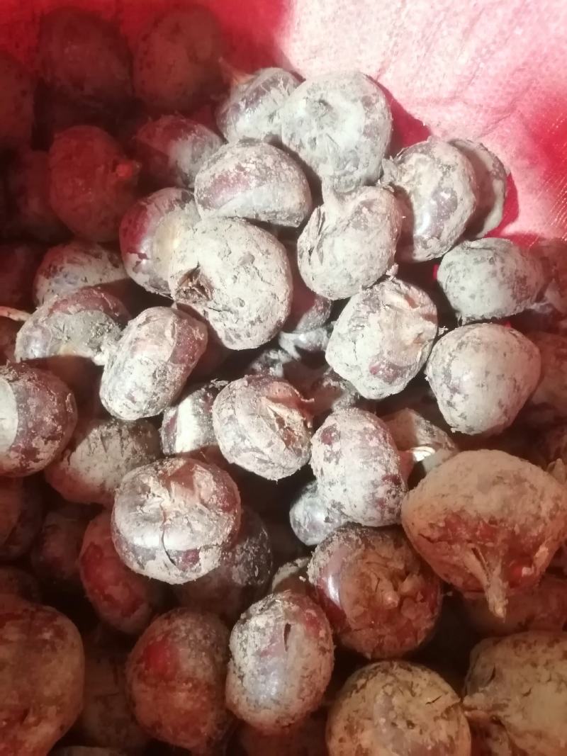 专业供应电商，超市及各大小市场，加工行业的各种规格的马蹄