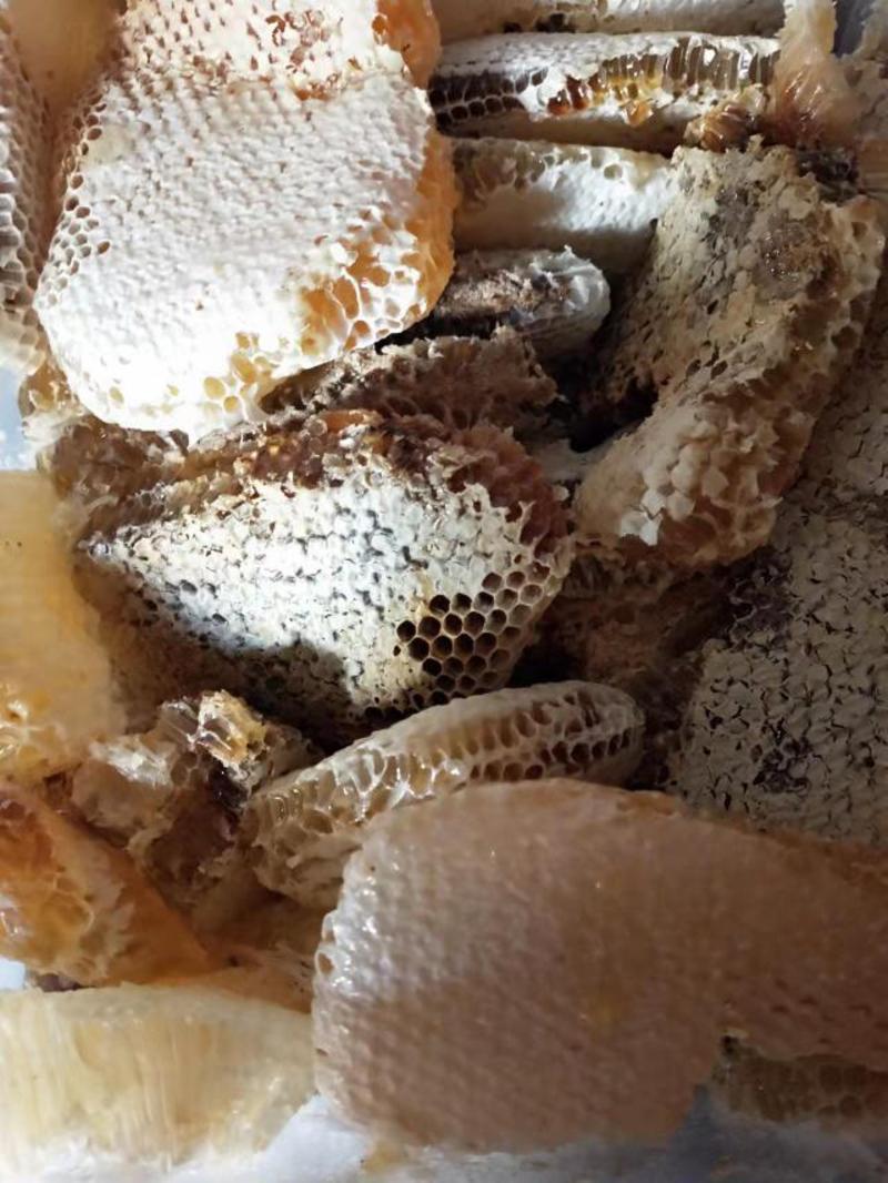 四川省高海拔无公害野生放养树桶蜂蜜