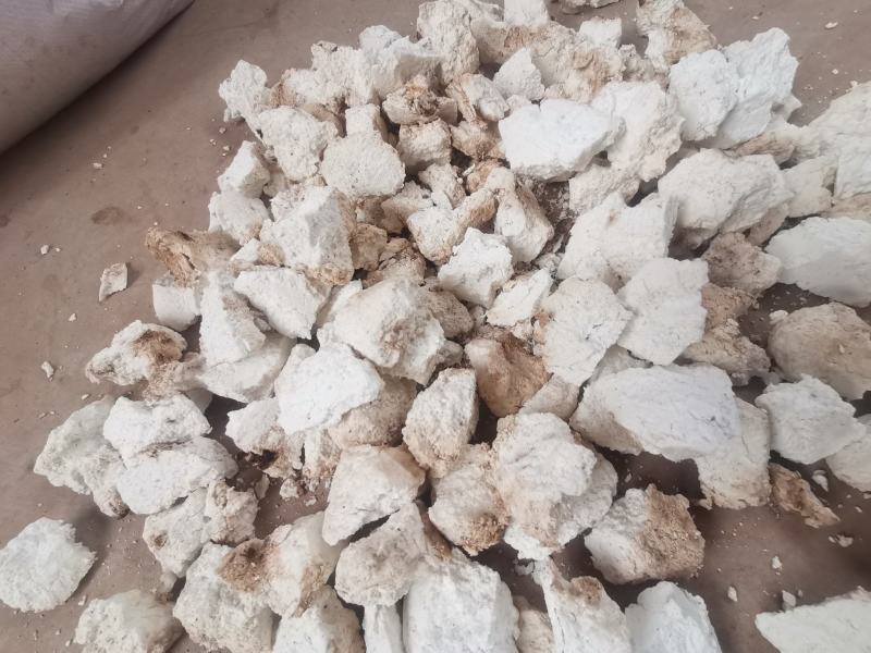 云南茯苓乱坨！农户自晒乱坨！无硫生丁！价格实惠！
