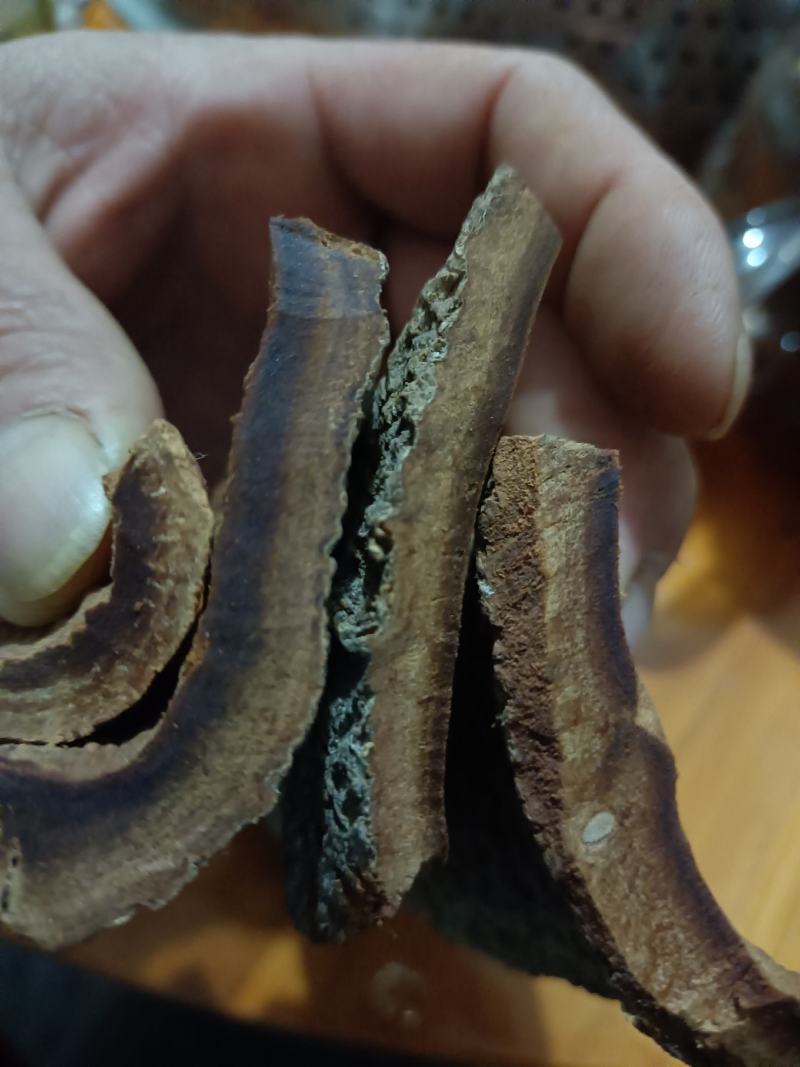 广西紫油桂黑油桂陈桂之香官桂贡桂膳药同源性温微甜