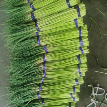 一级货源，适合冷库货，有想法的来