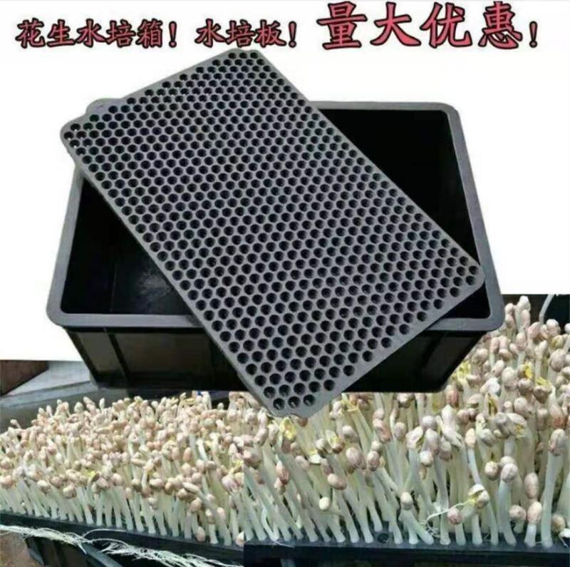 包邮商用花生芽箱加厚花生芽种植箱育苗筐撒播盘芽苗菜种植筐