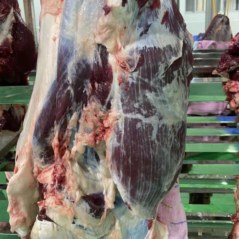 新鲜牛肉