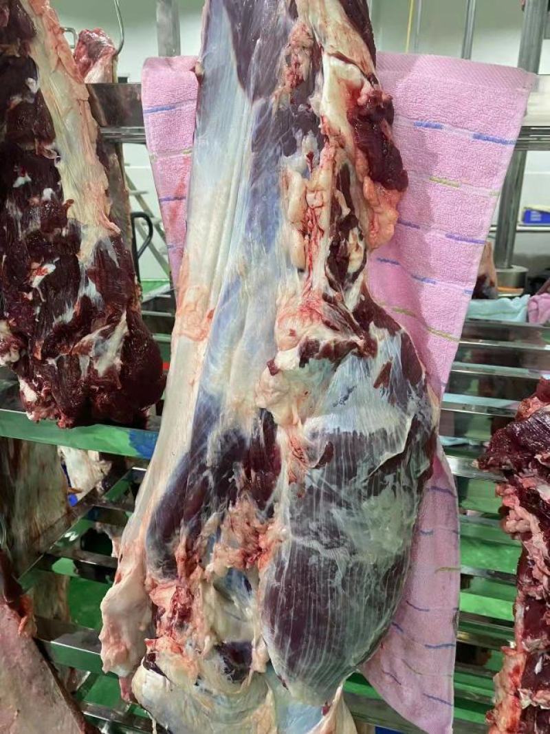 新鲜牛肉