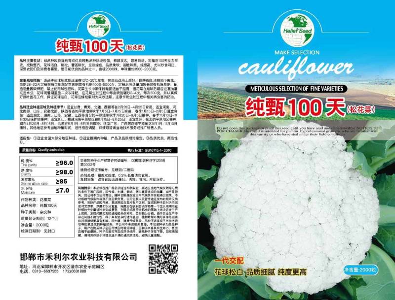 纯甄100天高纯度抗病强产量高纯度高花白青梗