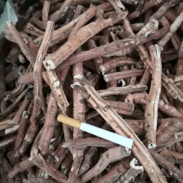 牡丹皮统货、手选大条毛丹、粉丹药厂货，商洛地产牡丹皮