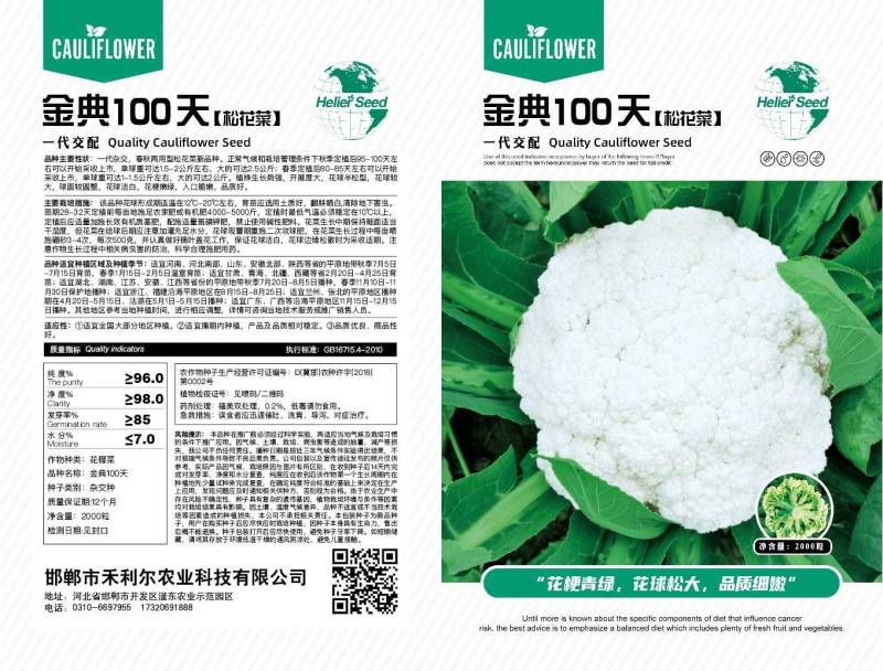 金典88天青梗白面松花菜产量高抗病强商品性较好