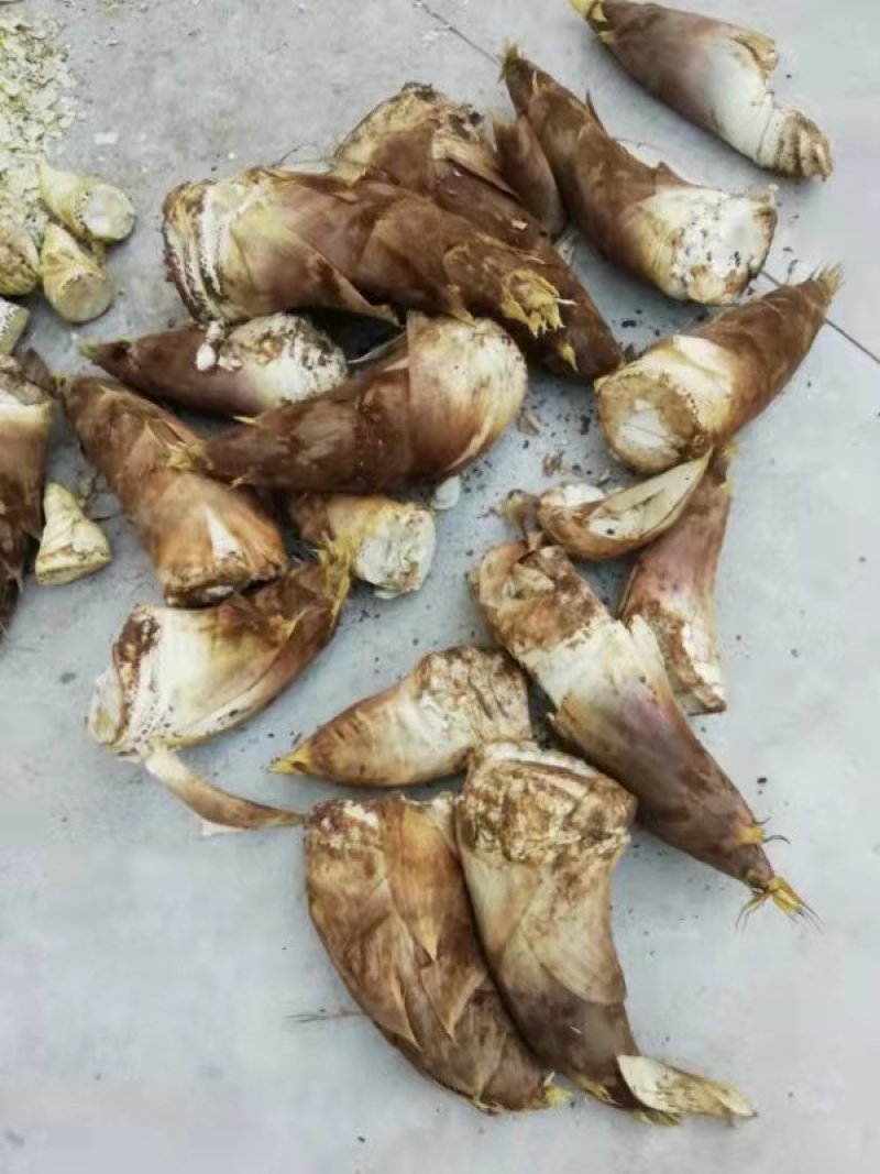 宜兴茗岭笋干