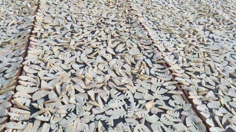 宜兴茗岭笋干