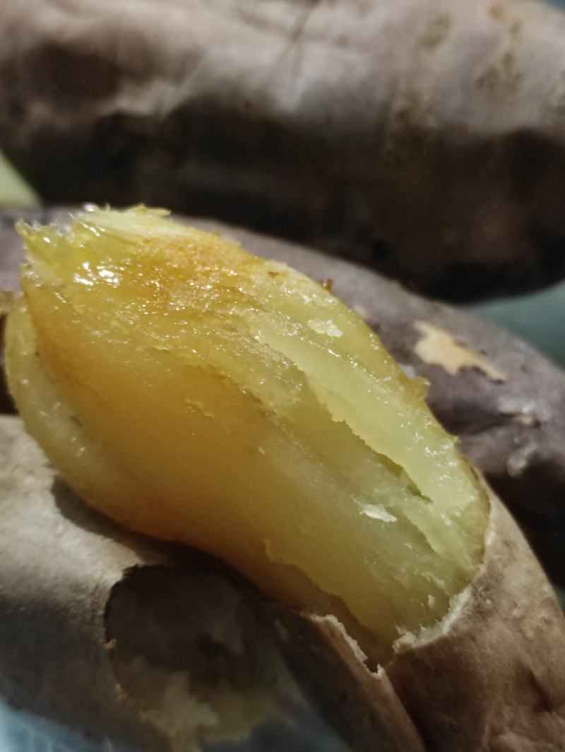 哈密红薯苗冰糖心红薯苗哈蜜红薯苗玛莎莉红薯苗地瓜苗