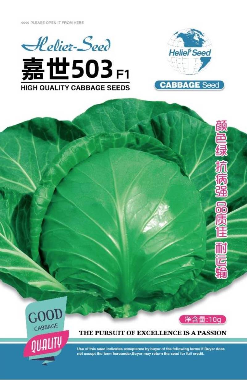 嘉世503甘蓝种子颜色绿抗病强品质佳耐运输较耐裂