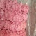 鲜脑花，新鲜，每天现宰标猪，诚信合作，质量保证，每天发货