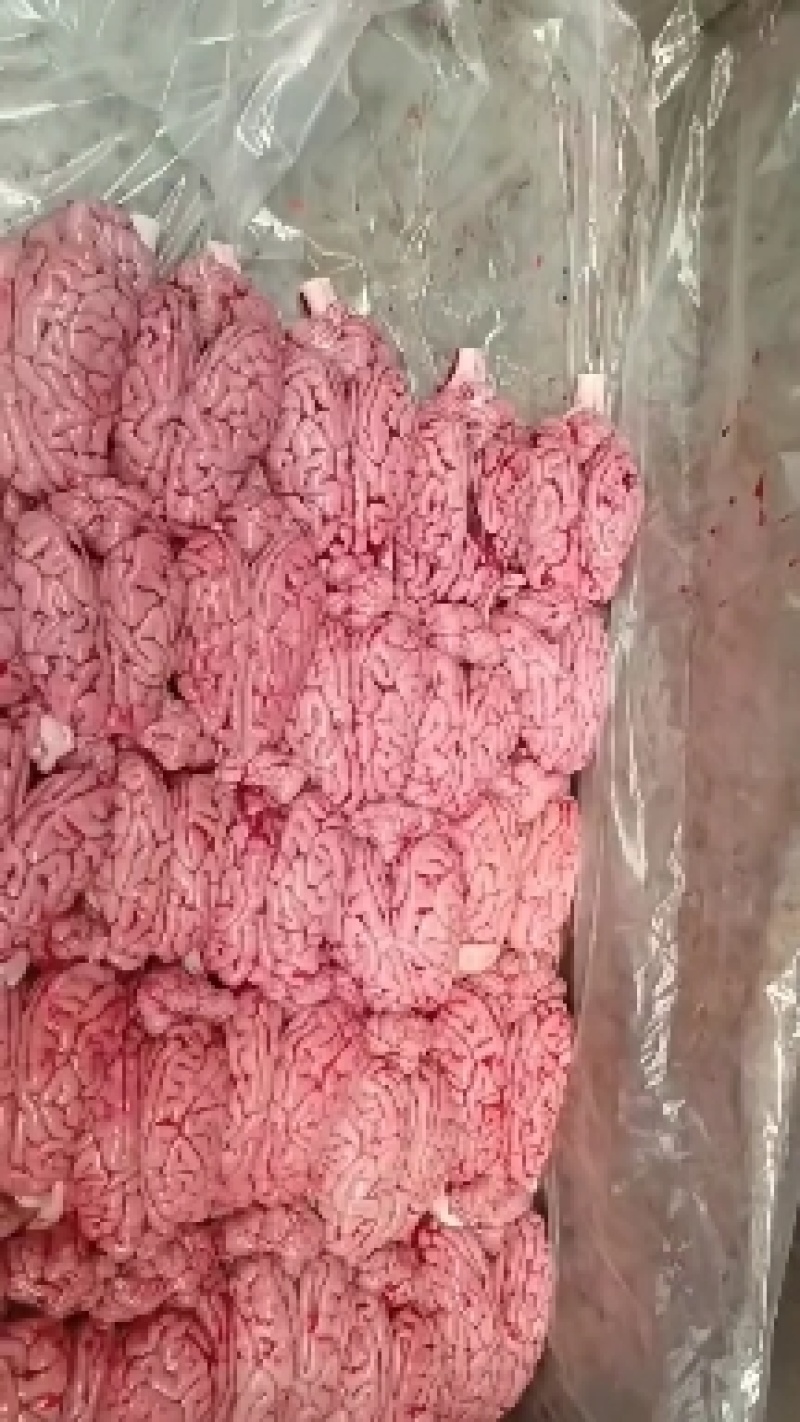 鲜脑花，新鲜，每天现宰标猪，诚信合作，质量保证，每天发货