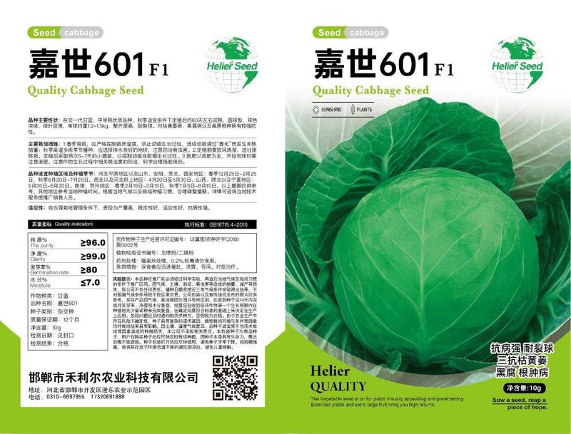 京绿721甘蓝种子抗病早熟翠绿松软耐裂可全面代替YR21
