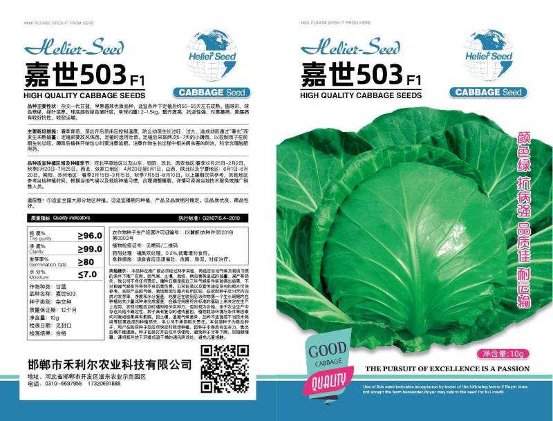 京绿721甘蓝种子抗病早熟翠绿松软耐裂可全面代替YR21