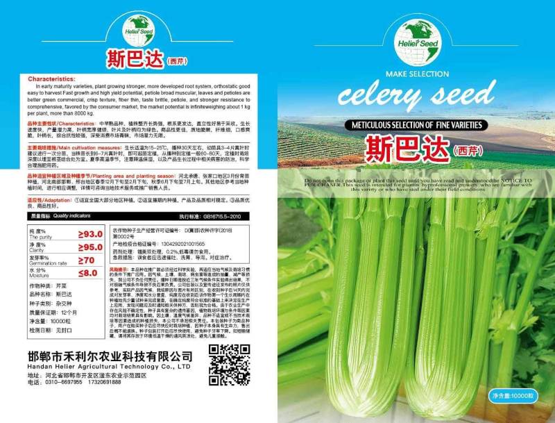 斯巴达杂交西芹种子长势旺抗病强耐抽薹纤维少产量高品质佳
