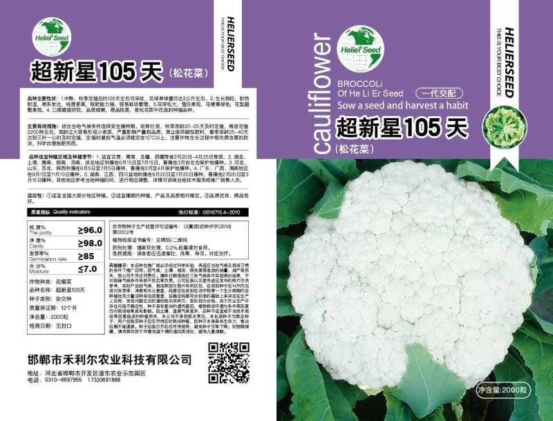 金典100天青梗松花画面洁白产量高品质细腻