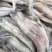 水潺龙头鱼豆腐鱼新鲜龙头鱼冰鲜发货单冻龙头鱼