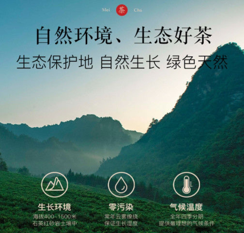 [荐]莓茶湘西永顺莓茶张家界莓茶芽尖藤茶土家族