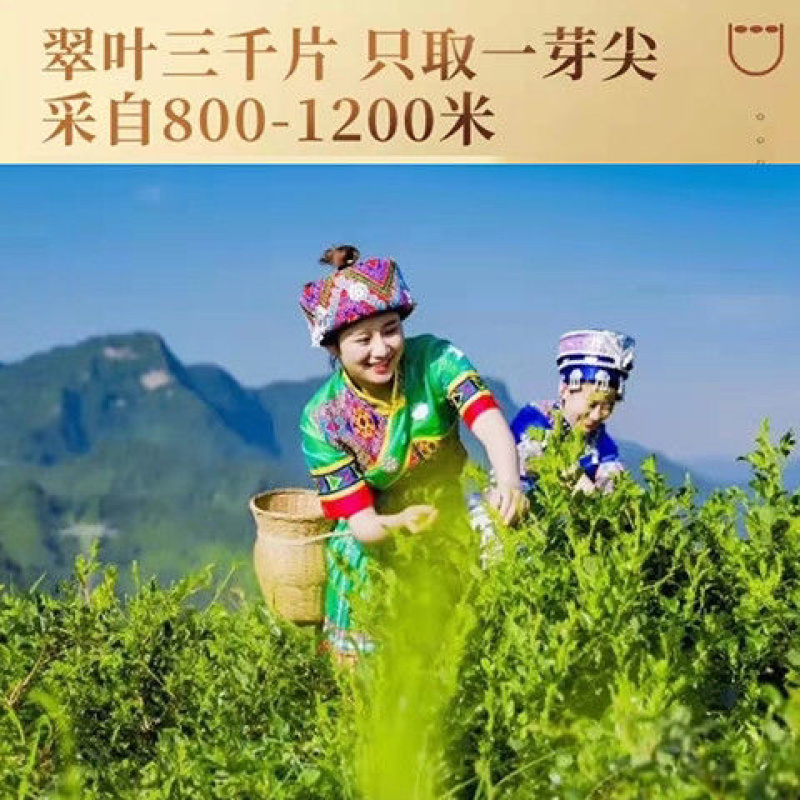 [荐]莓茶湘西永顺莓茶张家界莓茶芽尖藤茶土家族