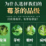 [荐]莓茶湘西永顺莓茶张家界莓茶芽尖藤茶土家族