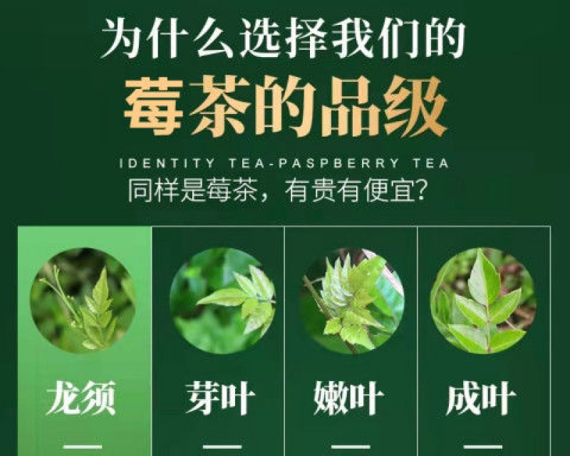 [荐]莓茶湘西永顺莓茶张家界莓茶芽尖藤茶土家族