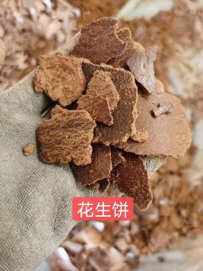【热销】花生油饼，油大，适用于养殖场，高营养