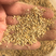 【热销】次谷子，小米糠，适用于养殖厂，饲料厂添加
