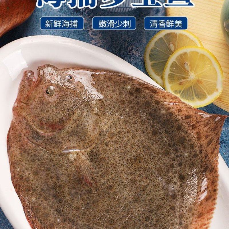 新鲜多宝鱼鲜活比目鱼海鲜鱼类批发大菱鲆鸦片鱼鲽鱼石斑鱼
